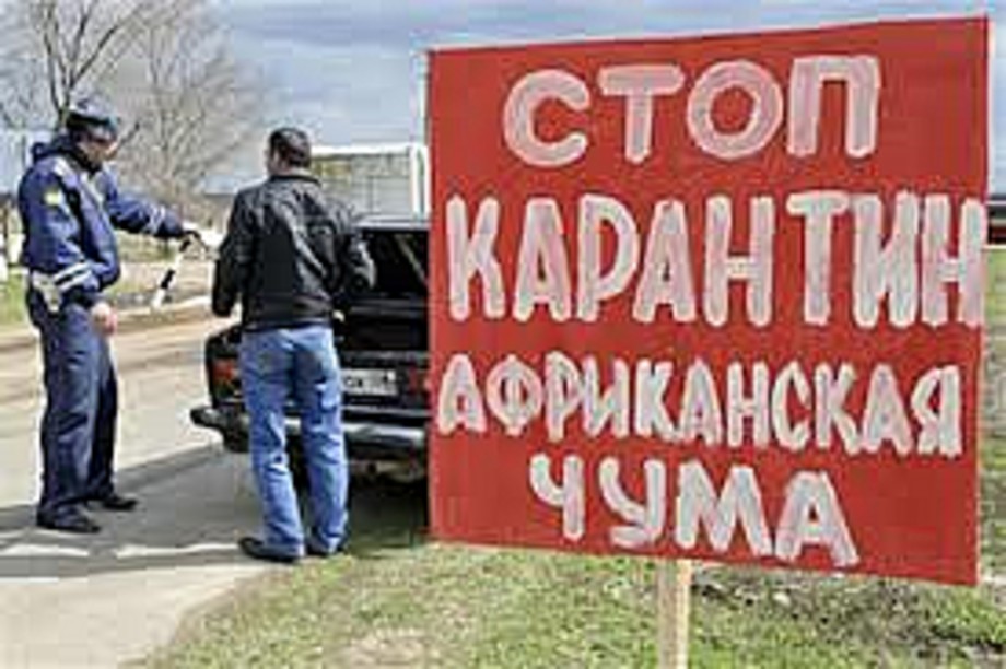 В Кировской области организовано командно-штабное учение с целью ликвидации африканской чумы свиней