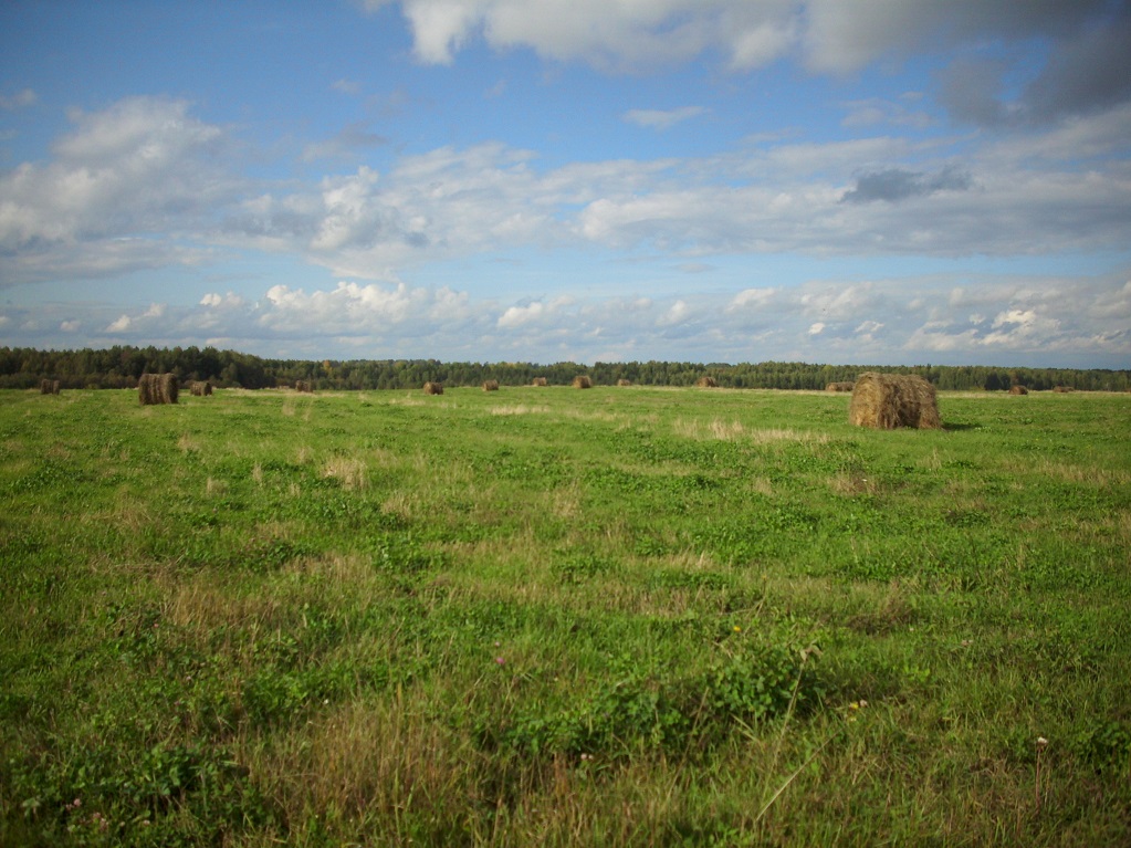 Почвы Шабалинского района малопригодны для возделывания сельскохозяйственных культур