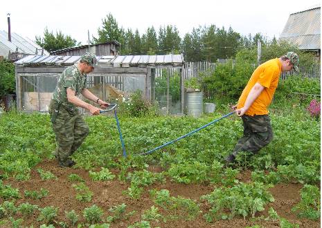 В Шабалинском районе колхозу им. Чапаева предстоит выплатить штраф за снижение плодородия почв