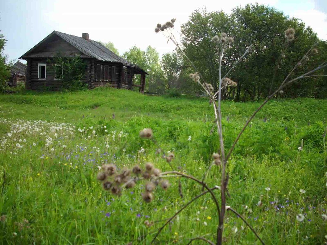 Деревня Ключи Шабалинского района Кировской области