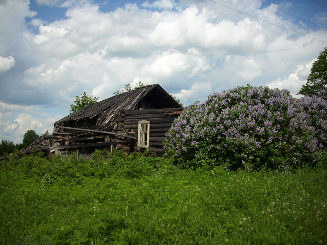 Деревня Ключи Шабалинского района Кировской области