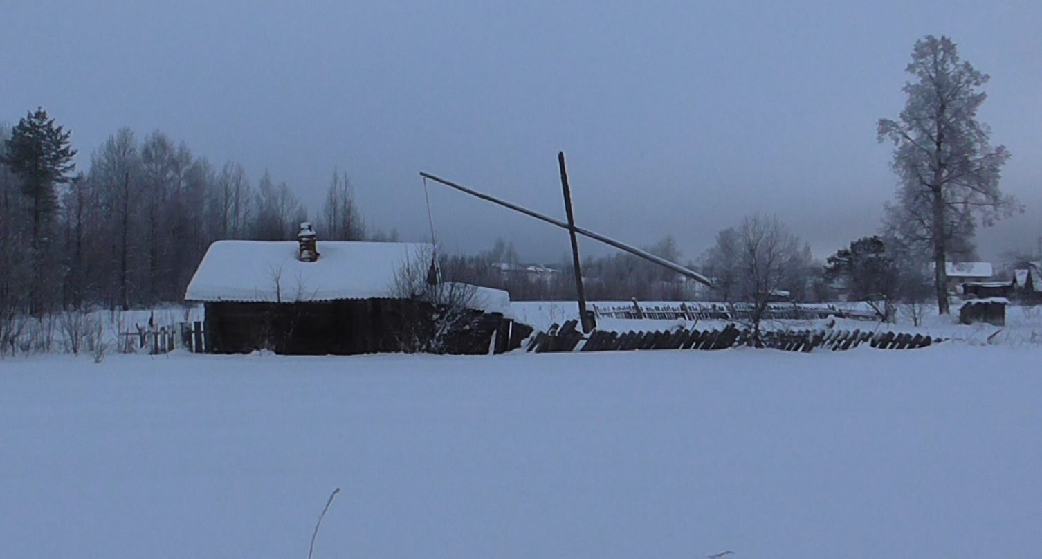Живописный сельский пейзаж деревни Протасы в Вятском крае