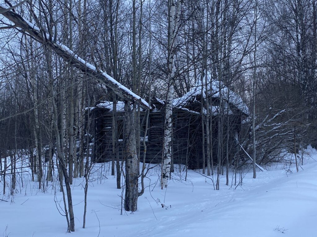 Зимний реквием по русской деревне