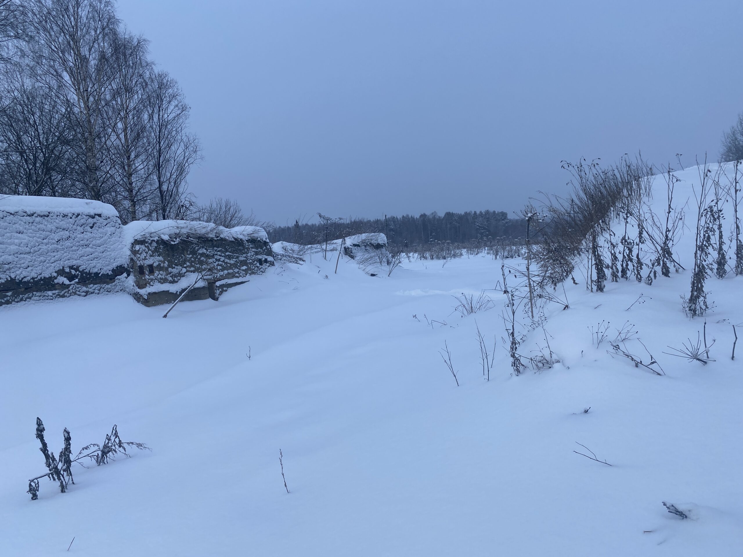 Развитие кировского АПК