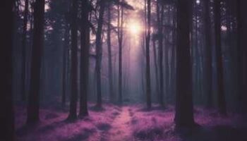 ✨ «И кричи не кричи — ты блуждающий свет, промелькнувший в ночи…»