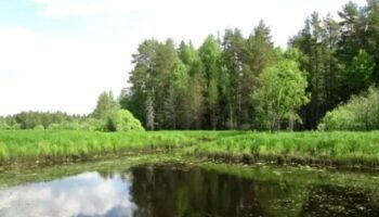 Живописные места для прогулок в Шабалинском районе Кировской области