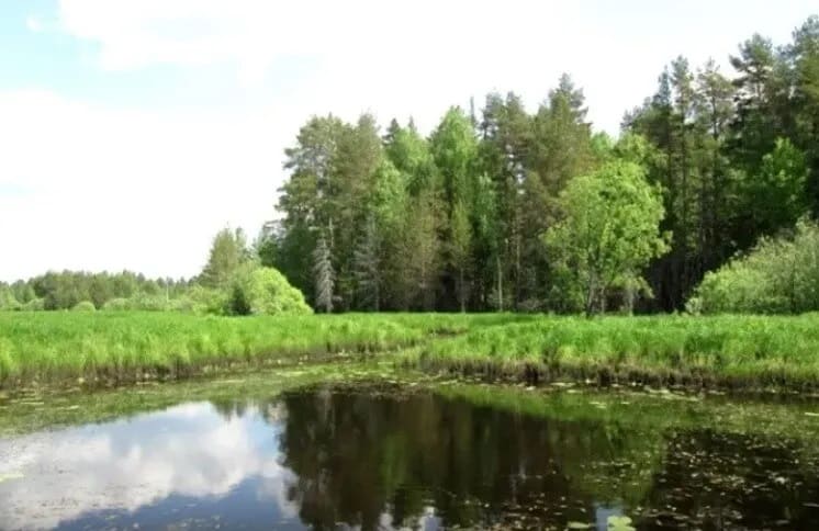 Живописные места для прогулок в Шабалинском районе Кировской области