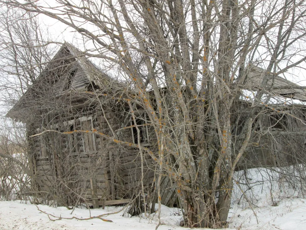 Деревня Сенниковы: история, география и природа Шабалинского района Кировской области