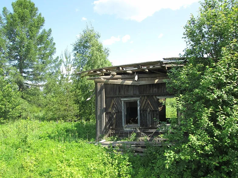 Деревня Сенниковы: история, география и природа Шабалинского района Кировской области