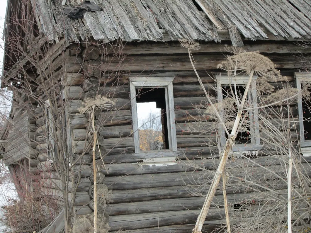 Деревня Сенниковы: история, география и природа Шабалинского района Кировской области