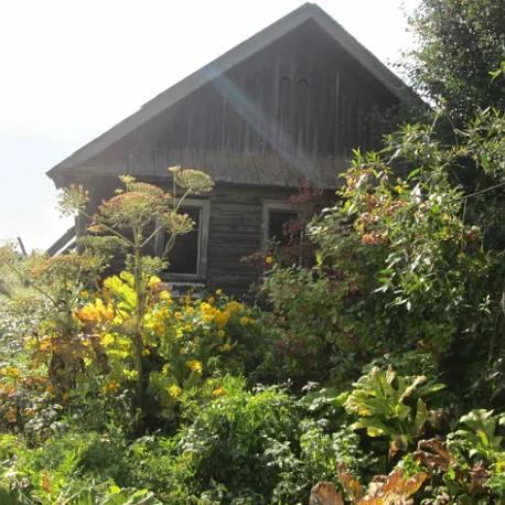 Деревня Сенниковы: история, география и природа Шабалинского района Кировской области