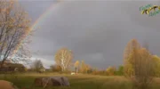 🍂 МНЕ СНИТСЯ ОСЕНЬ В ПРОТАСАХ