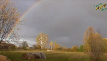 🍂 МНЕ СНИТСЯ ОСЕНЬ В ПРОТАСАХ
